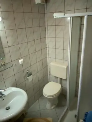 a small bathroom with a toilet and a sink at Gostilna Pension Blegoš in Poljane nad Škofjo Loko