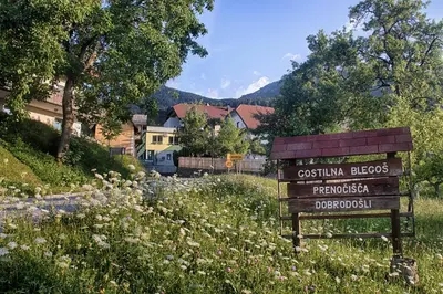 a wooden sign in the middle of a field of flowers at Gostilna Pension Blegoš in Poljane nad Škofjo Loko