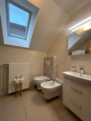 a bathroom with a sink and a toilet and a window at Komac Apartma & Glamping BLED in Bled