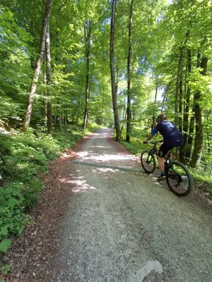 a person riding a bike down a dirt road at LAND FOR YOUR TENT NEXT TO A RIVER WITH A GARDEN SHACK ROOM you get two bicycles for amazing views and two water floats for a nice river run USE THE LOCATION NOT THE ADDRESS TO GET HERE bathroom is a bit different so check YouTube video RiverRunDusko in Ljubljana