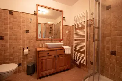 a bathroom with a sink and a toilet and a mirror at Bee Apartment in Bohinj