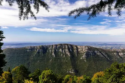 a view of a mountain in the middle of a forest at Hostel POINT Nova Gorica, Self Check-In with code access in Nova Gorica