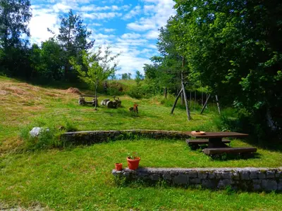a park with a picnic table in a field at Gostilna Stara Pošta in Pucaie