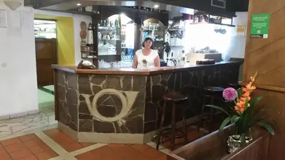 a woman standing behind a bar in a restaurant at Gostilna Stara Pošta in Pucaie