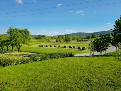 a view of a field with a road and trees at Stars Apartments in nature in Postojna