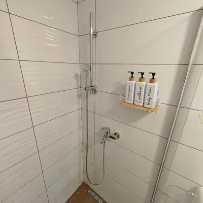 a bathroom with a shower with three bottles on a shelf at Stars Apartments in nature in Postojna