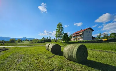 a group of hay bales in a field with a house at Stars Apartments in nature in Postojna