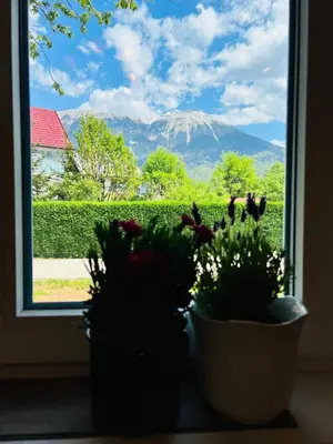 a window with two potted plants and a view of a mountain at St Mountain Escape in Žirovnica