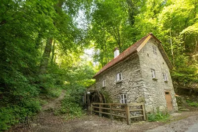 an old stone building in the middle of a forest at Old mill in Štore