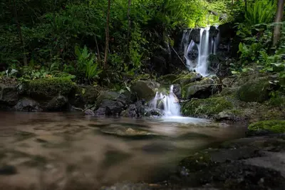 a waterfall in the middle of a forest at Old mill in Štore
