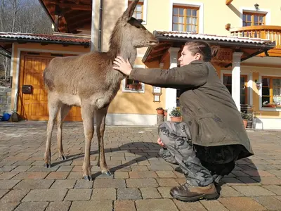 a man is petting a deer in front of a building at Farm Stay Peternelj in Ilirska Bistrica