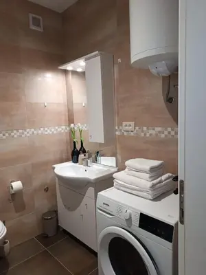a bathroom with a washing machine and a sink at Apartma Mjrka in Dobrovo