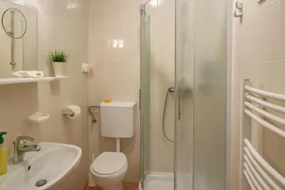 a bathroom with a shower and a toilet and a sink at Hiša Vanda in Dobrovo