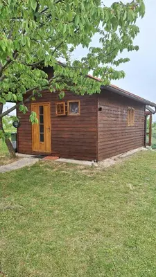 a small wooden house with a tree in front of it at Hiška Jureš in Ljutomer
