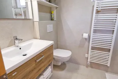 a bathroom with a white sink and a toilet at Apartment Zupan in Begunje na Gorenjskem
