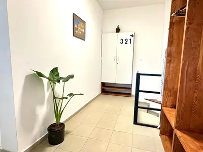 a hallway with a potted plant in a room at Rookos rooms in Ljubljana