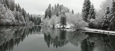 a black and white photo of a lake with trees at Deer Land Photo Apartment in Kočevska Reka