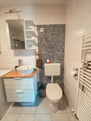 a bathroom with a white toilet and a sink at Charming Apartment Siska in Ljubljana