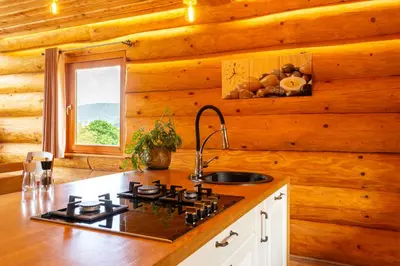 a kitchen with a stove top in a log cabin at Villa Harmonia Private Jacuzzi and Pool Retreat near Rogaška in Rogatec