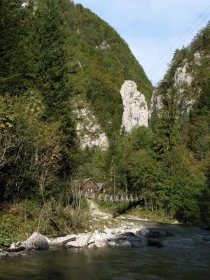 a bridge over a river with a mountain at Guest House and Museum Firšt in Solčava