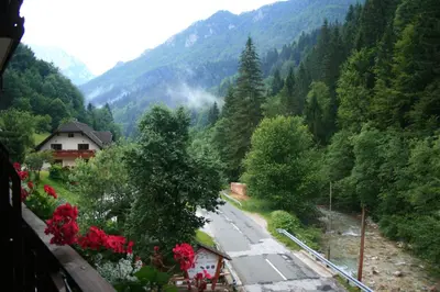 a view of a road in a valley with trees at Guest House and Museum Firšt in Solčava