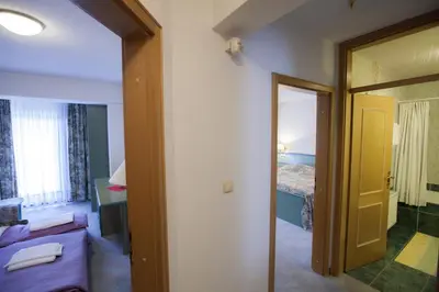 a room with a bedroom with a bed and a door at Sobe Krona in Radovljica