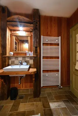 a bathroom with a sink and a wooden wall at Villa Les with Hot tub & Sauna in Brežice