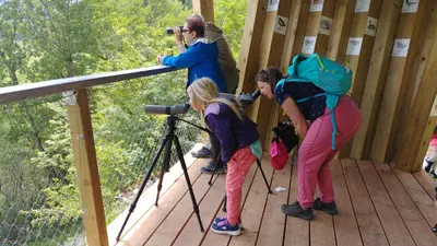 a group of people standing on a wooden platform with a camera at Apartment Kranjc in Cerknica