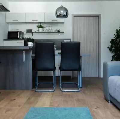 a kitchen and living room with a table and chairs at Apartma Lilly in Bohinjska Bela