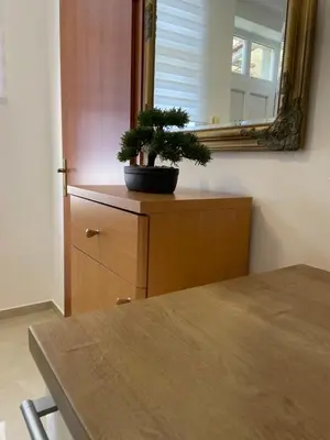 a potted plant sitting on top of a dresser with a mirror at Topel dom v centru mesta 5 in Maribor