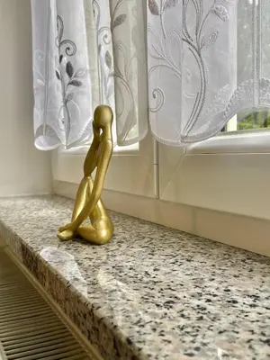 a gold figurine sitting on a counter next to a window at Topel dom v centru mesta 5 in Maribor