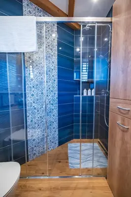a bathroom with a shower with blue walls at Cozy House Claudia in Žirovnica