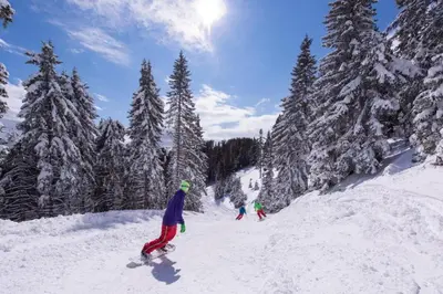 two people are skiing down a snow covered slope at OTTA Apartments Golte C1 in Mozirje