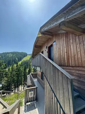 a wooden cabin with a staircase leading to a door at OTTA Apartments Golte C1 in Mozirje