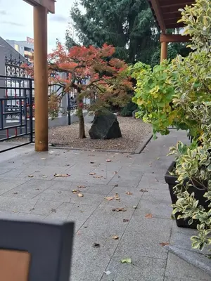 a garden with a rock and some trees and plants at Apartma z dvema spalnicama in balkonom in Maribor