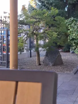 a tree and a rock in a park at Apartma z dvema spalnicama in balkonom in Maribor