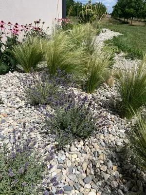 a garden with rocks and grass and purple flowers at Apartments Wally in Ptuj