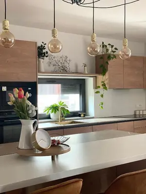 a kitchen with potted plants and pendant lights at Apartments Wally in Ptuj