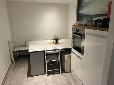 a kitchen with a island with a plant on it at New Modern App in Ljubljana