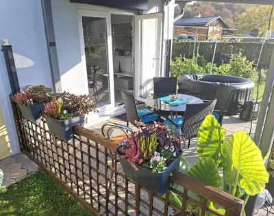 a porch with three potted plants and a table at Holiday house Zala in Puconci