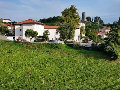 a house on a hill with a green field at Grad Kojsko in Kojsko