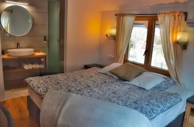 a bedroom with a bed and a window and a sink at Hiša Plesnik in Solčava