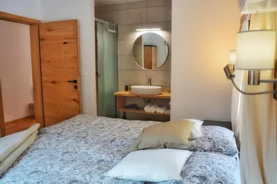 a bedroom with a bed with a sink and a mirror at Hiša Plesnik in Solčava