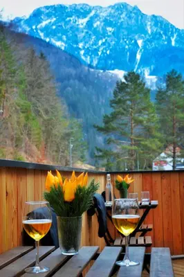 two glasses of wine and flowers on a wooden table at Hiša Plesnik in Solčava