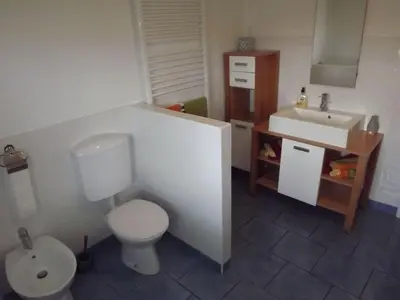 a small bathroom with a toilet and a sink at Velika Hiša in Rašica