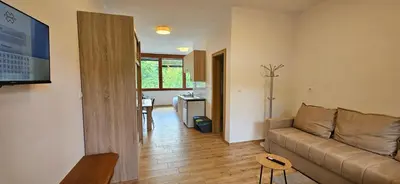 a living room with a couch and a table at Apartments Dvor by the Krka river in Rove