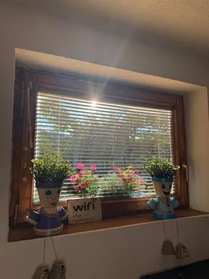 a window with two potted plants on a window sill at Piece of Heaven in Zgornje Gorje