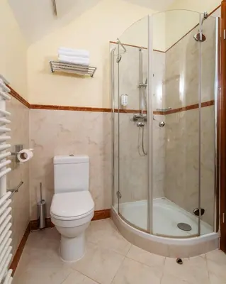 a bathroom with a toilet and a shower at Dvorec Jeruzalem in Ivanjkovci