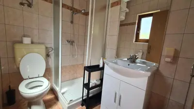 a bathroom with a toilet and a sink and a shower at Brne Family House in Postojna