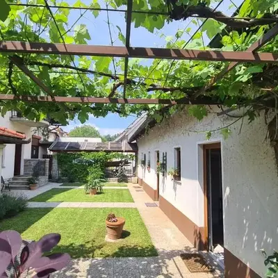 Brne Family House